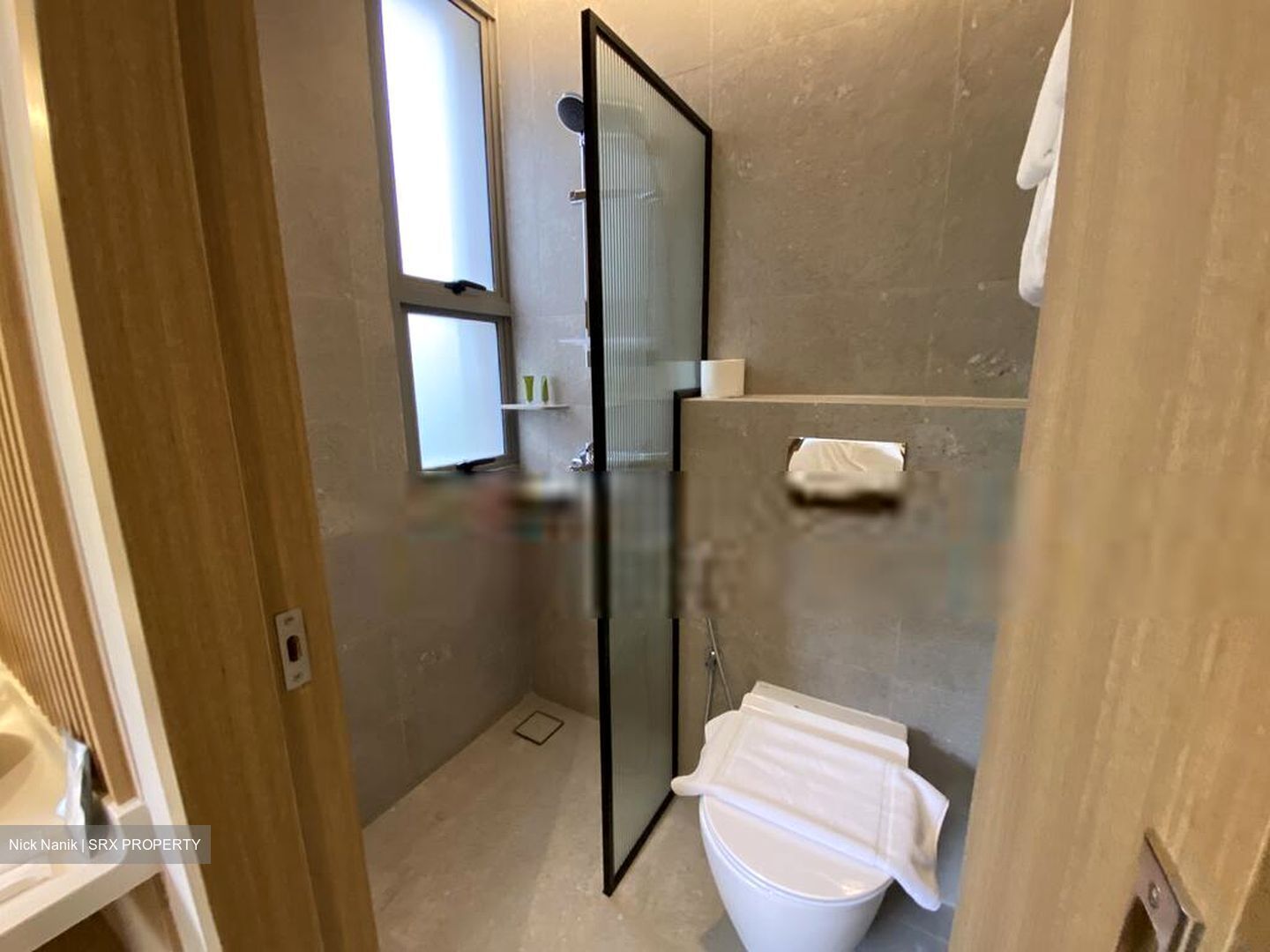Mount Elizabeth Link (D9), Condominium #572933791